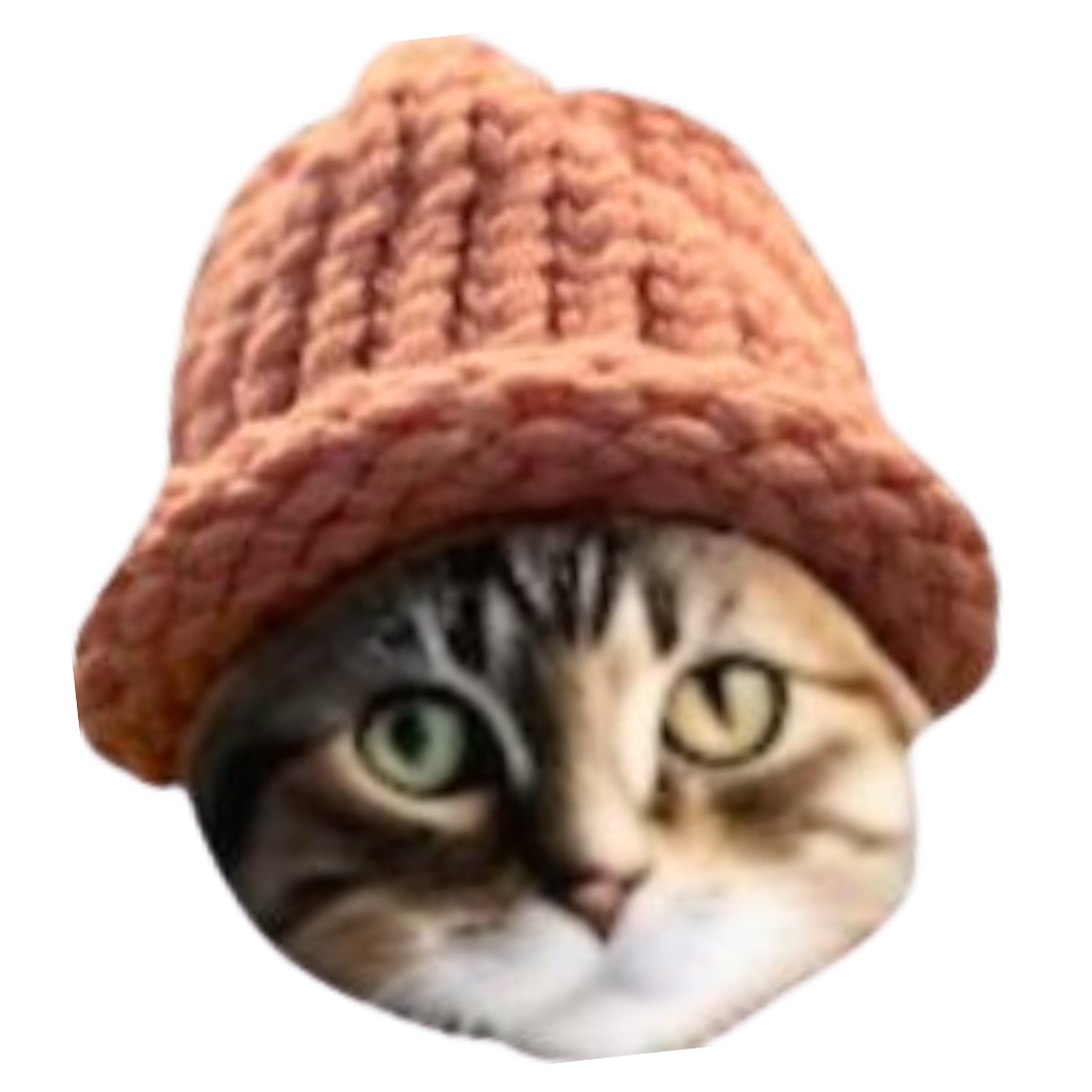 Catwifhat CWIF Solana memecoin